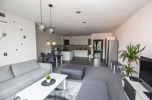 华丽公寓 | 起居区 | 48-英寸纯平电视 （配备数码频道）、电视