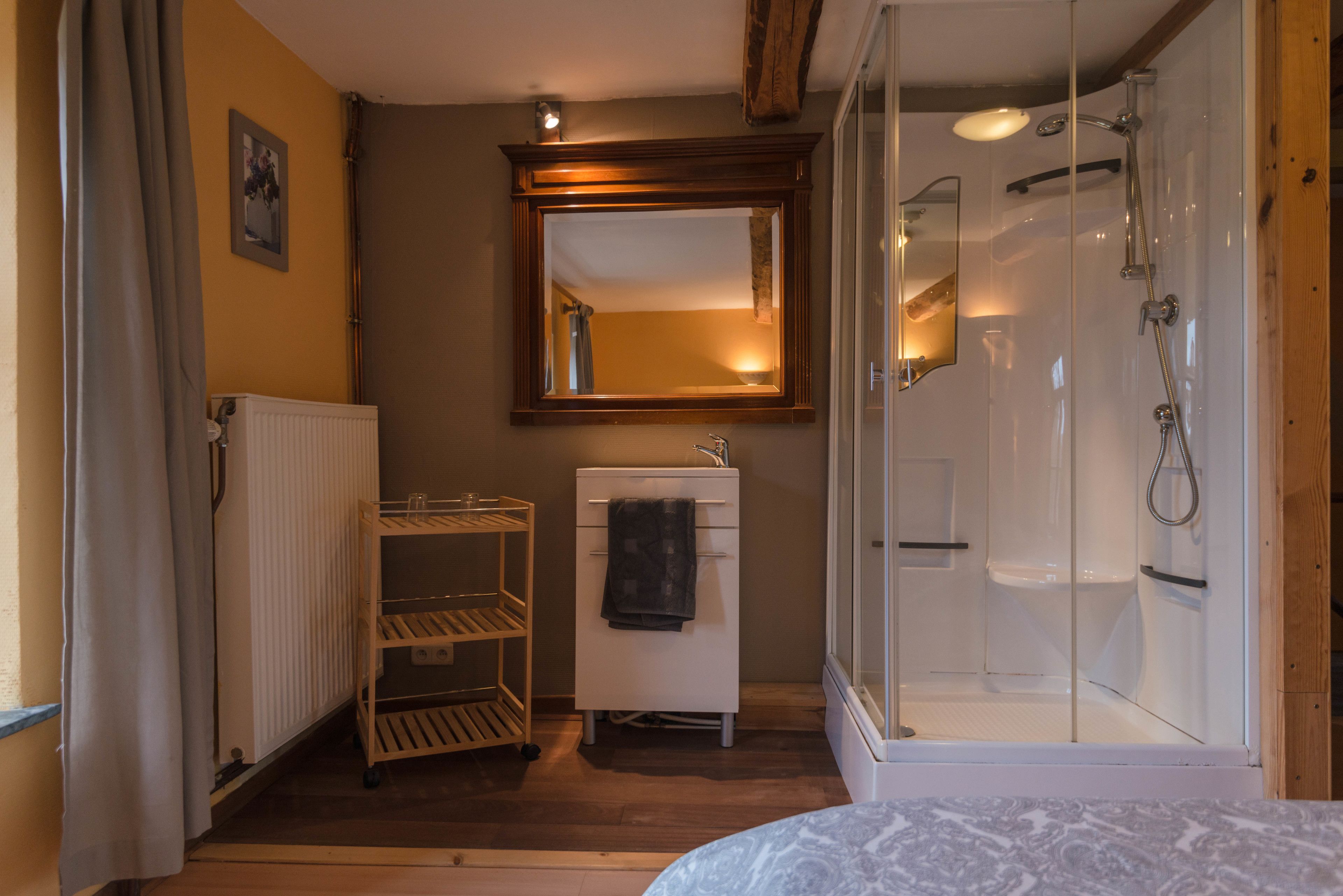 A bathroom with a shower, a sink, and a mirror.