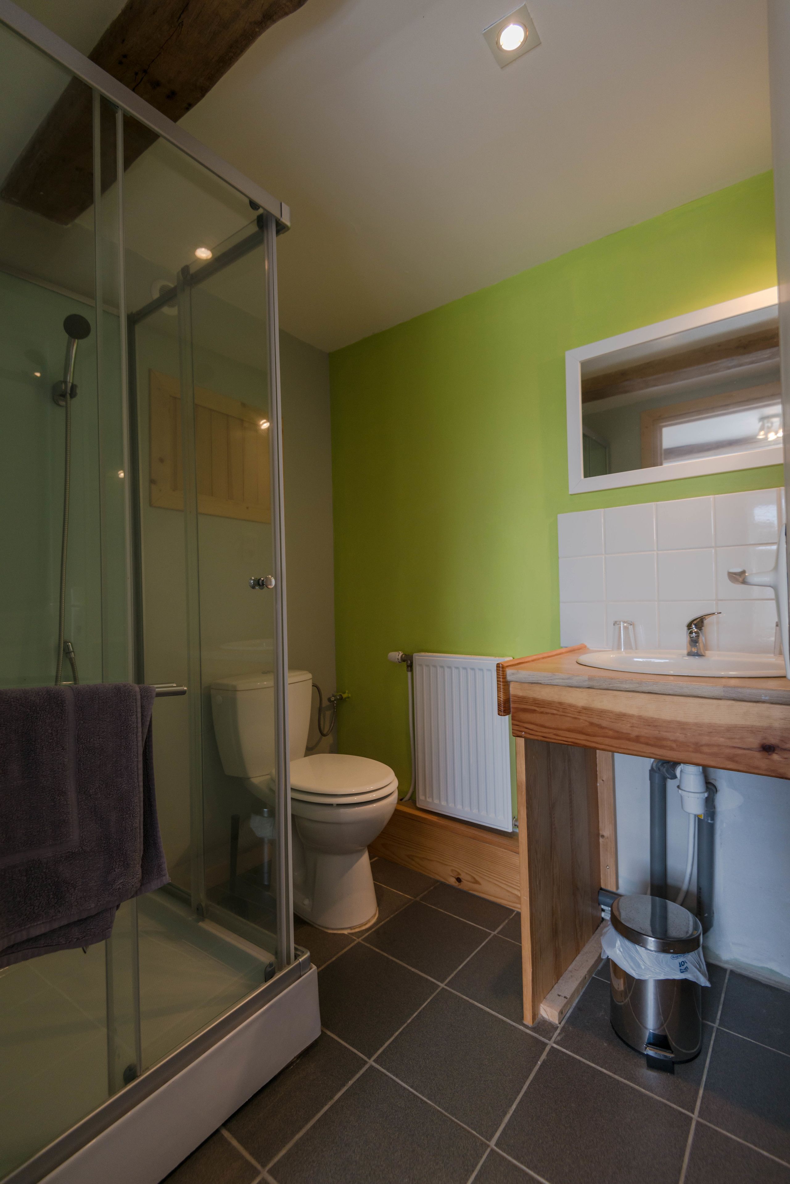 A bathroom with a glass shower enclosure, a toilet, and a sink with a wooden countertop.