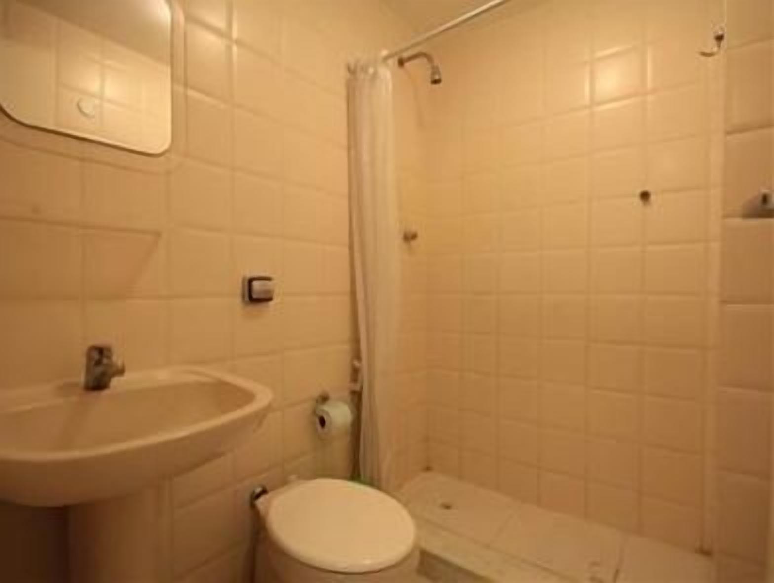 Une petite salle de bain avec un lavabo, des toilettes et une douche.