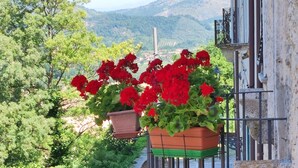 A balcony with potted plants and flowers, overlooking a mountainous landscape. - Nena' al Borgo Castello (Pico)