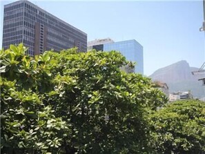 Vista da propriedade