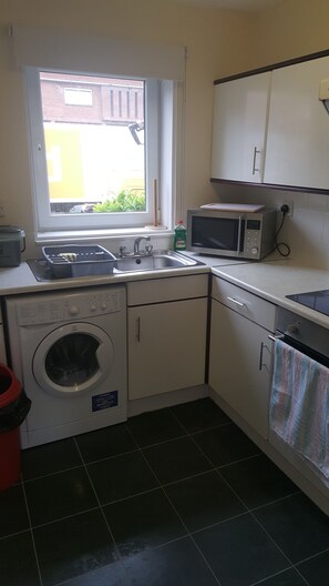 Apartment, 1 Bedroom | Private kitchen | Fridge, microwave, oven, stovetop