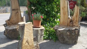 A potted plant with red flowers on a wooden stump. - Hotel Rural Puente del Duraton (Sepulveda)