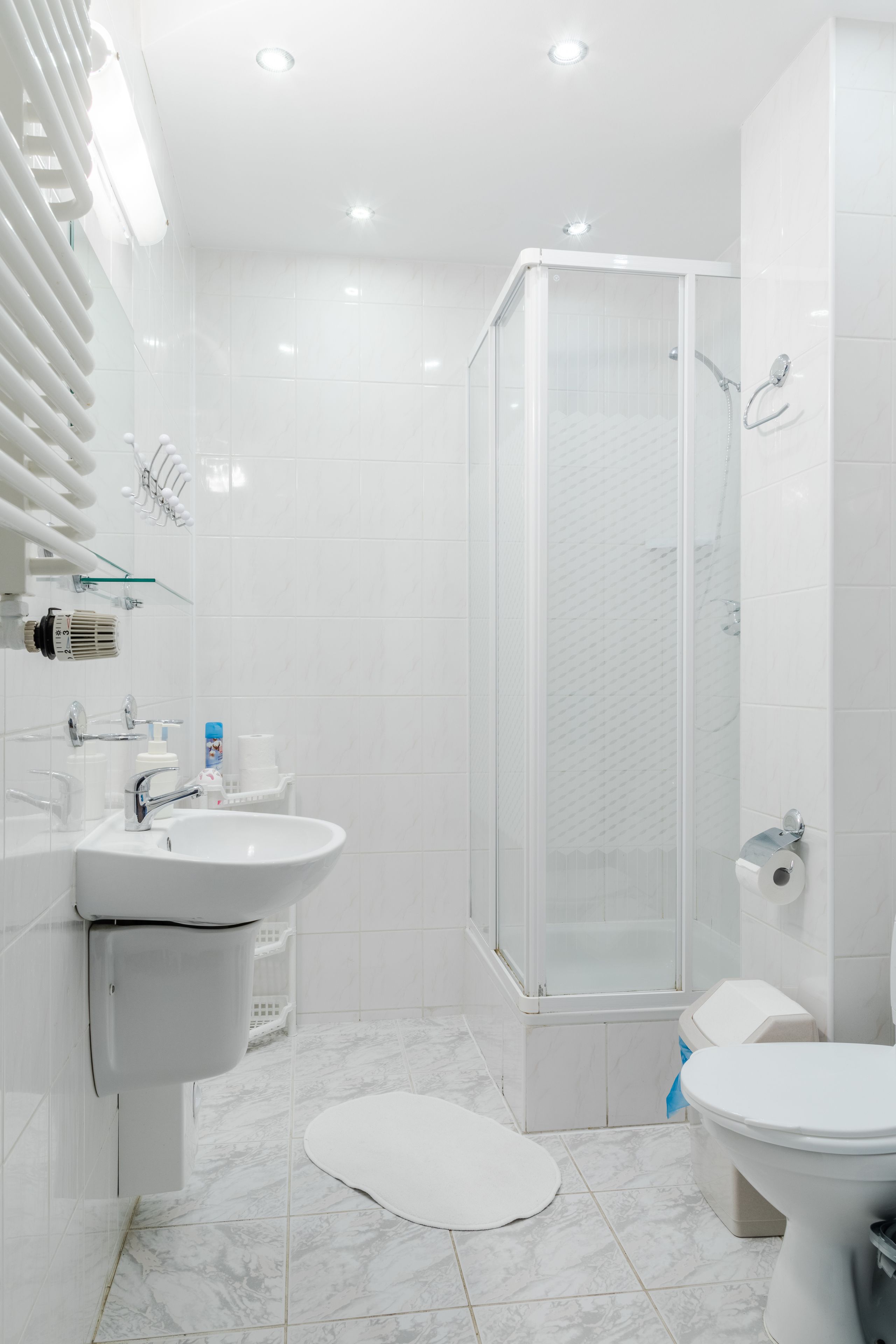 A modern bathroom with a glass shower enclosure, a white sink, and a toilet.