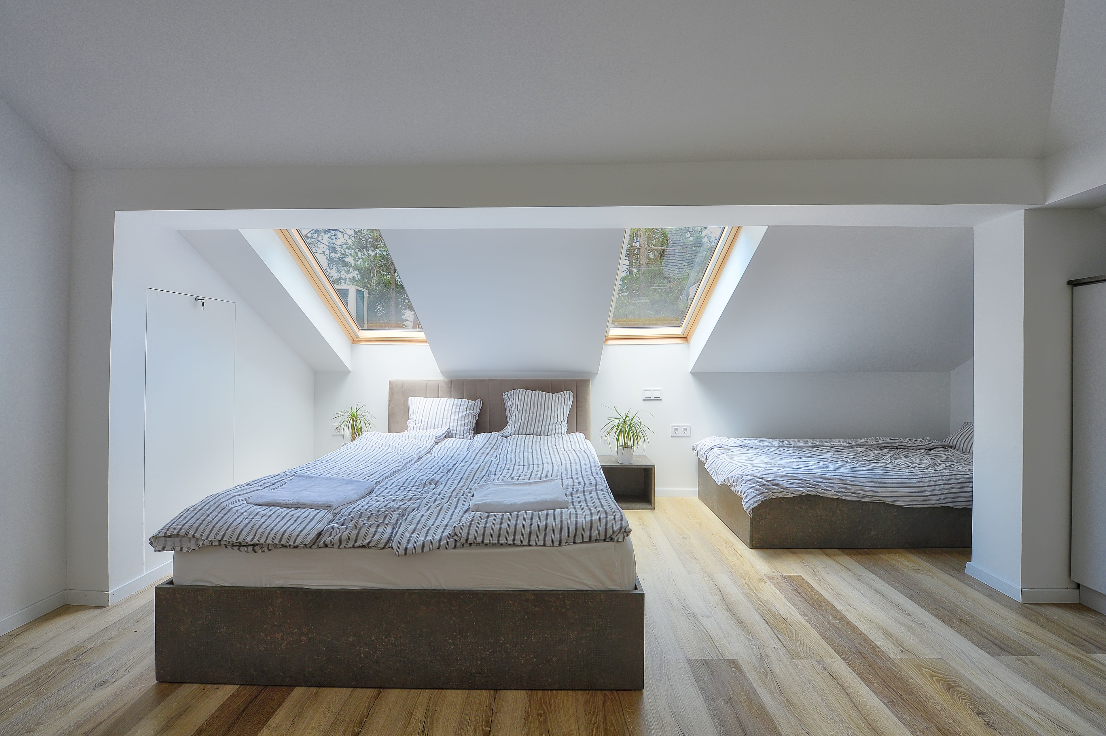 A modern bedroom with a skylight, a large bed, a smaller bed, and a bedside table with a plant.