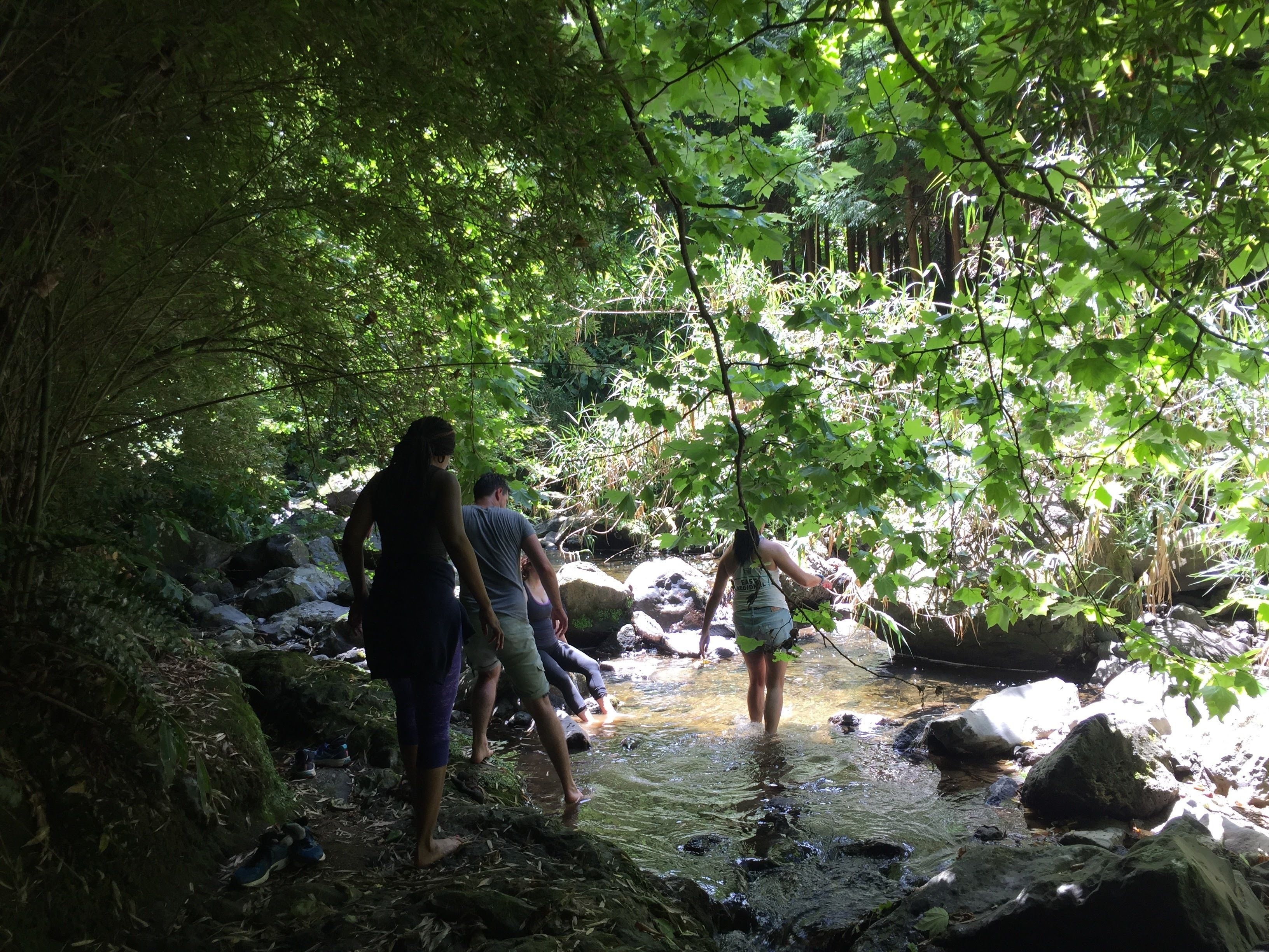 Foto - Quinta Minuvida