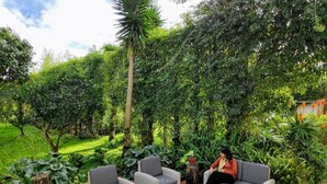 An outdoor seating area with wicker furniture and a potted plant. - Quinta Minuvida Orchard Lodge (Ribeira Grande)