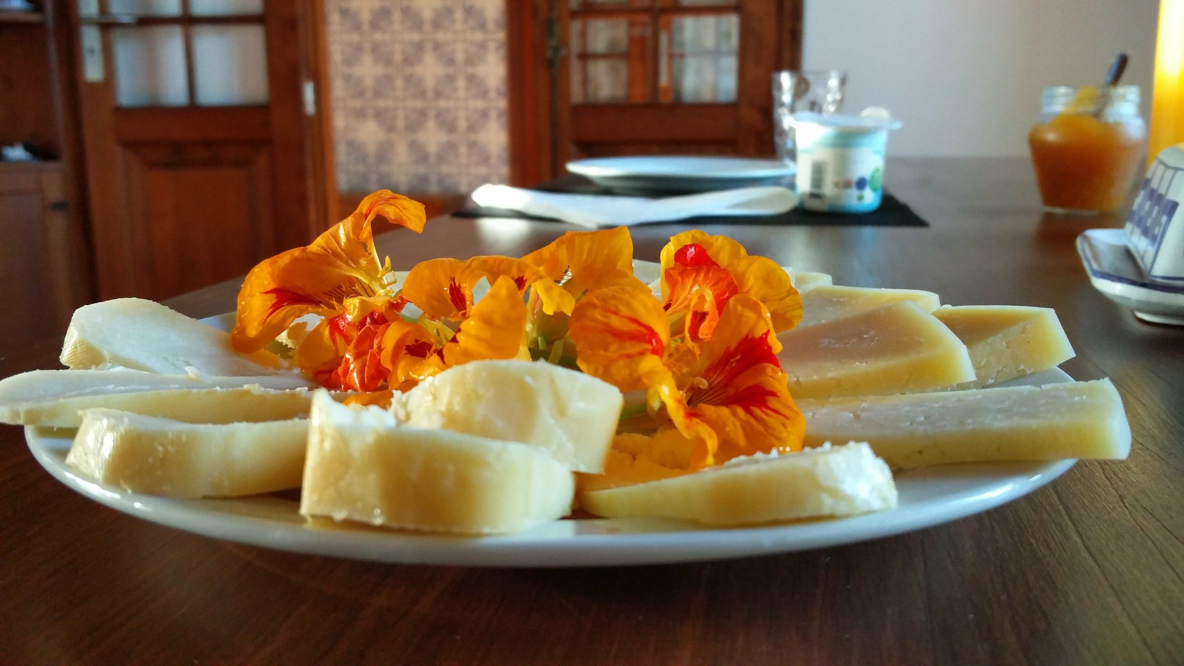 Photo - Quinta Minuvida Orchard Lodge