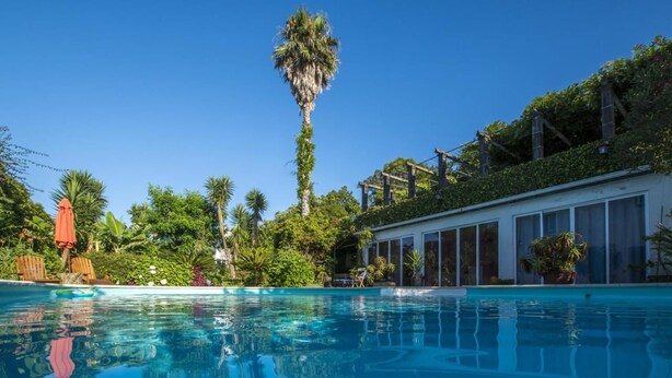 A swimming pool with clear blue water, surrounded by lush greenery and palm trees. - Quinta Minuvida Orchard Lodge (Ribeira Grande)