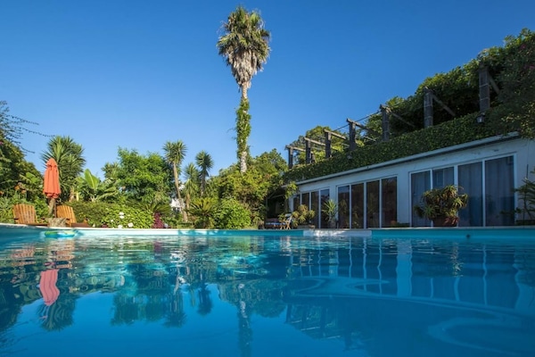 Outdoor pool, open 9:00 AM to 11:00 PM, pool umbrellas, sun loungers