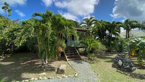 Un jardín tropical con una pequeña estructura, un sendero de grava y palmeras.