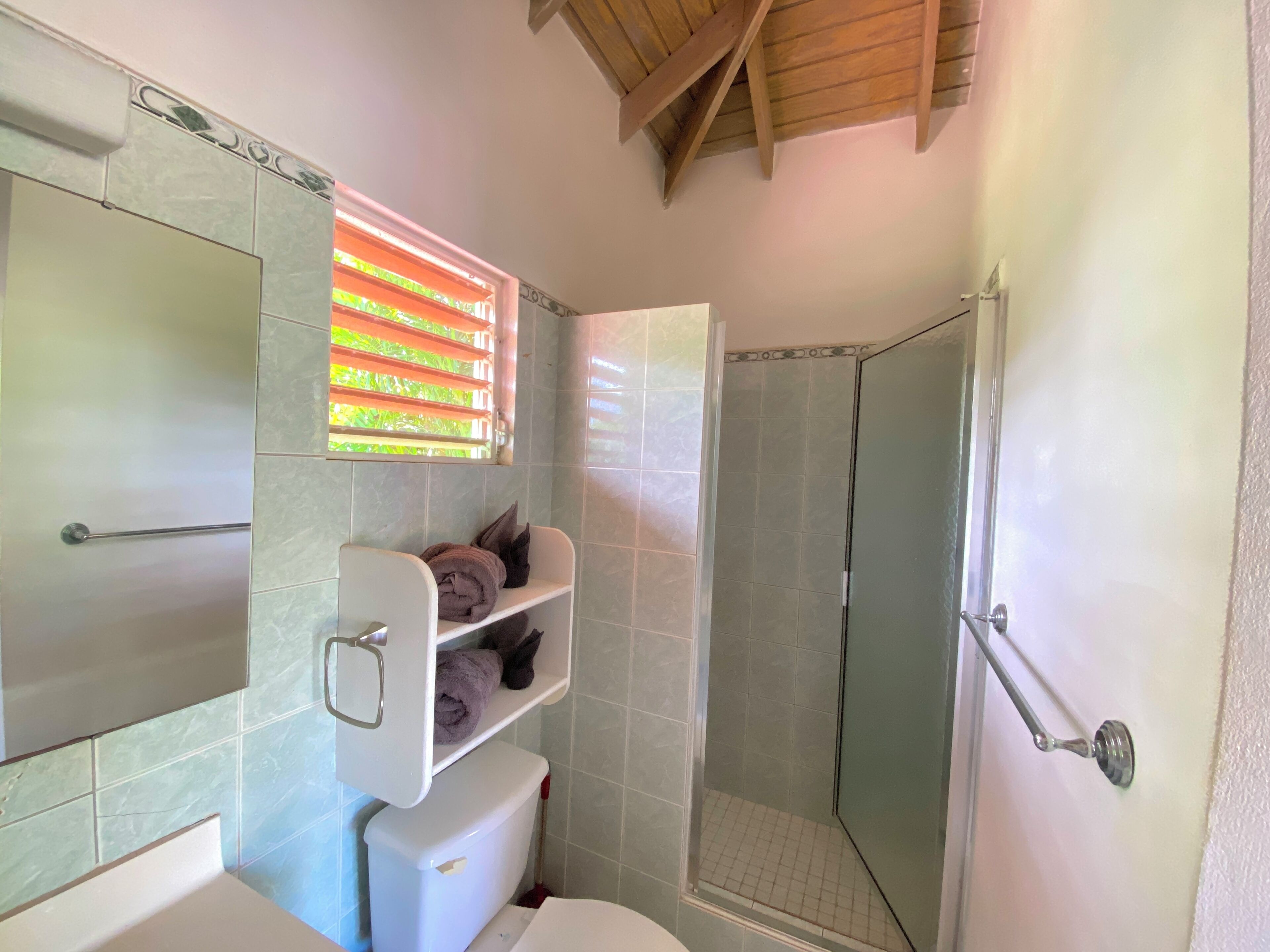 A bathroom with a shower, toilet, and a shelf with towels.