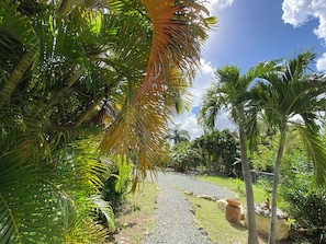 Garden view - The Greenside Cottages (St. John's)