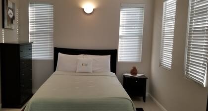 New Kingston Guest Apartment at Eight