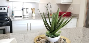 Une cuisine avec des armoires blanches, une cuisinière en acier inoxydable, une machine à café et un aloe vera en pot posé sur le comptoir.