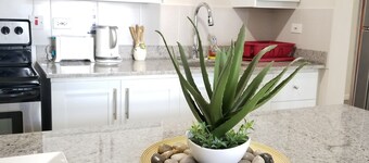 New Kingston Guest Apt at Kingsway