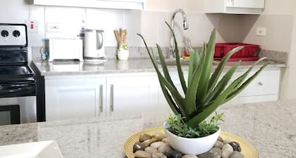 New Kingston Guest Apt at Kingsway