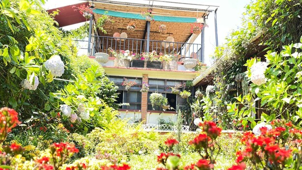 A garden with various plants and flowers in front of a building with a balcony. - Hotel Casa Chapultepec - Hostel (Cobán)