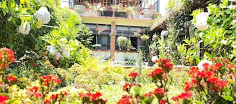 Hotel Casa Chapultepec - Hostel