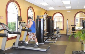 Fitness facility - Cheshire Cat's Lair (Davenport)