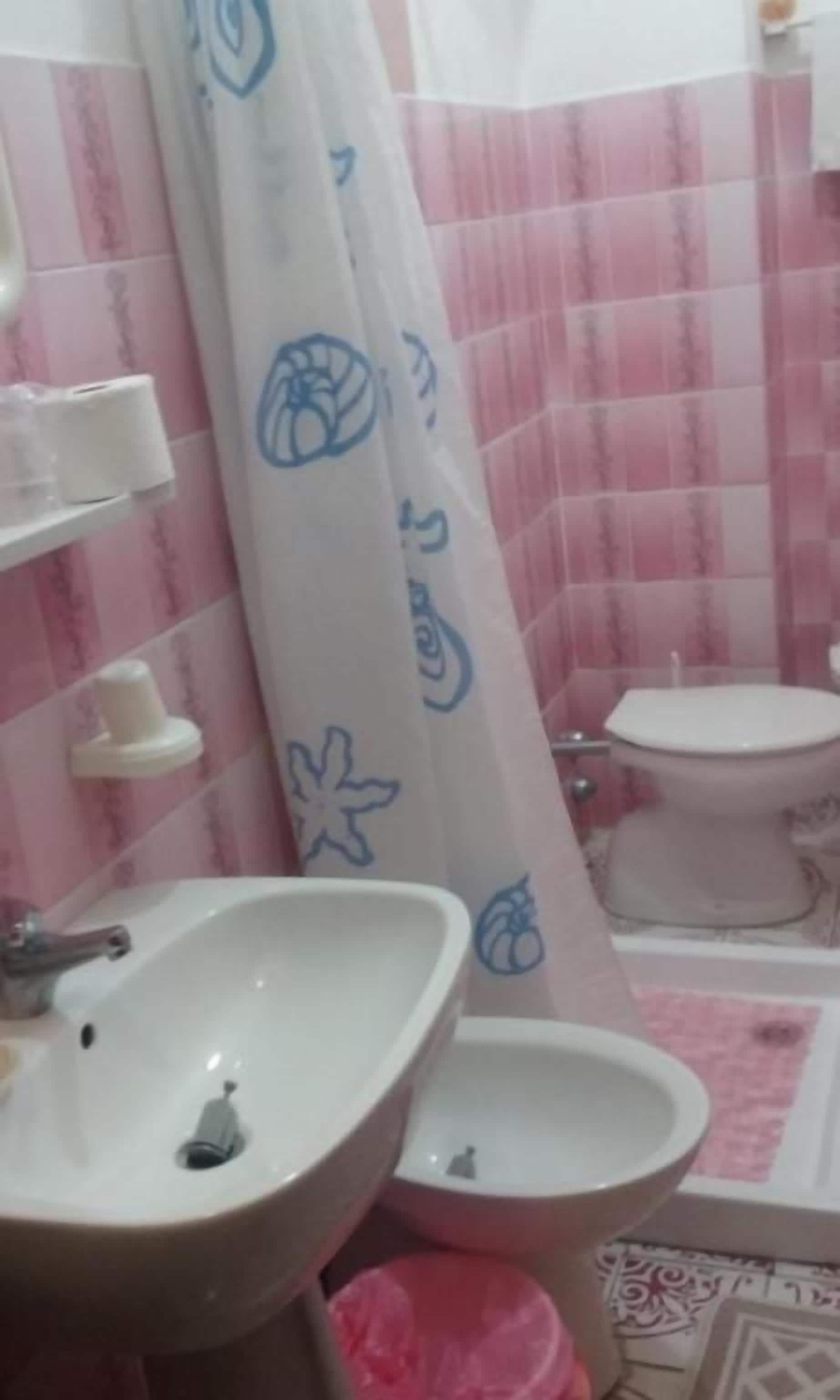 A bathroom with a sink, bidet, and a shower curtain with a pattern.