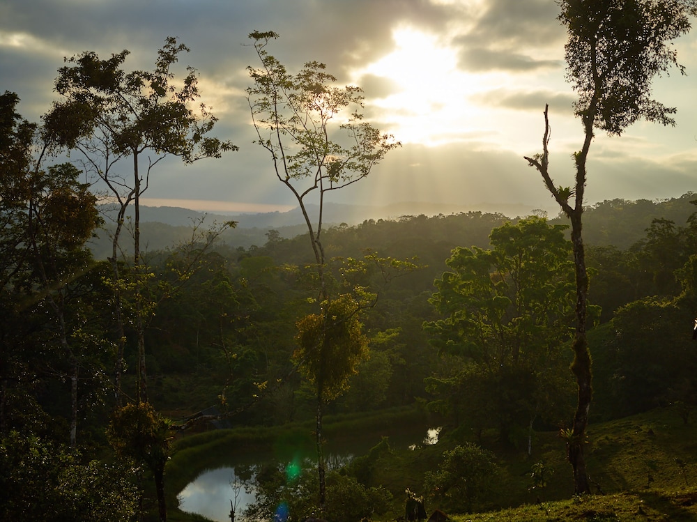 Origins Luxury Lodge (Floral) by null Origins Luxury Lodge (Floral) by null