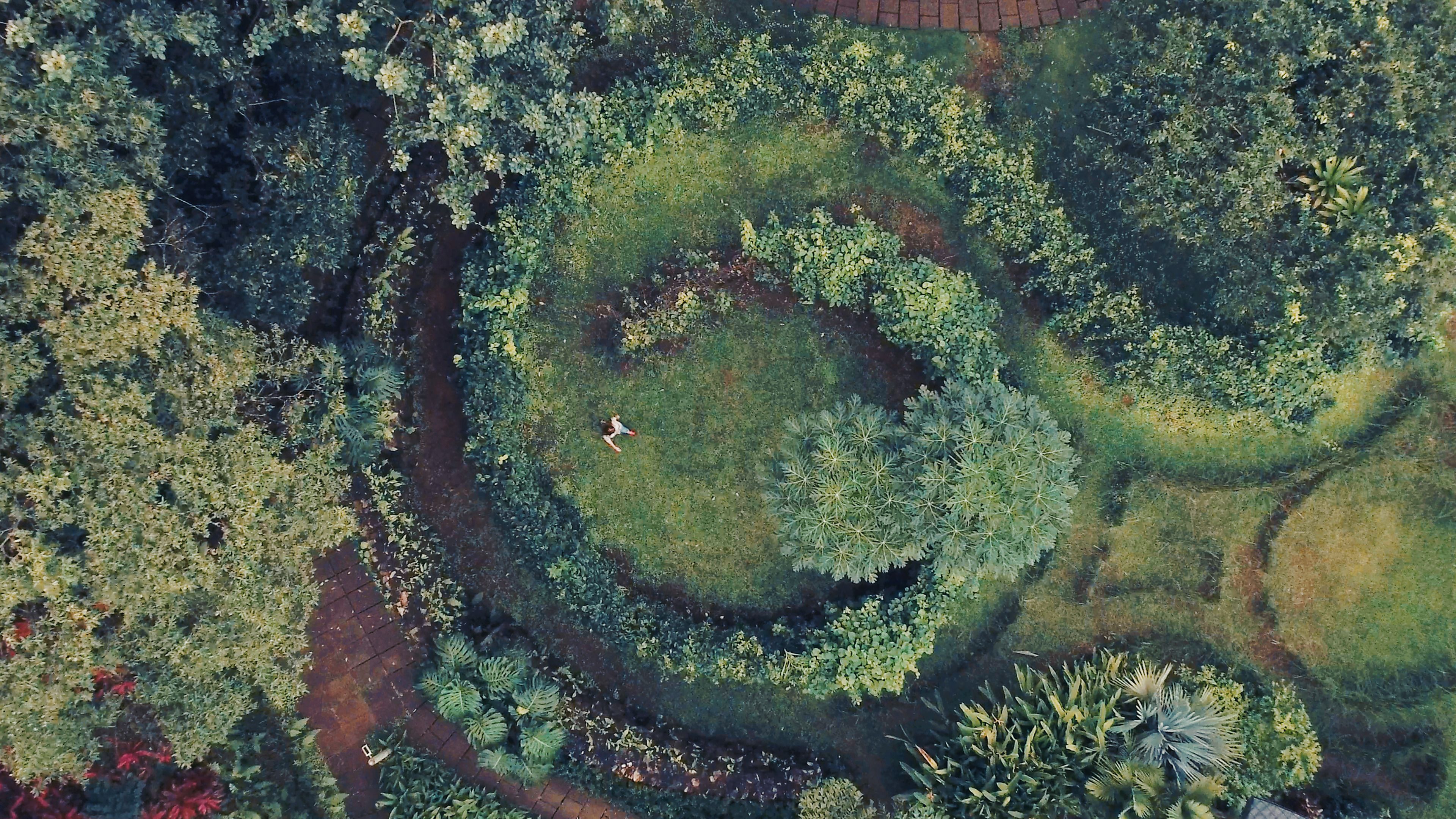 An aerial view of a landscaped garden with a central circular area, pathways, and various types of vegetation.