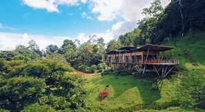 Premium bedding, in-room safe, desk, iron/ironing board - Origins Lodge (Bijagua)