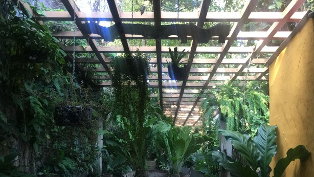 Unclassified image, 1 of 26, button - Hotel Hacienda San Miguel Bed&Breakfast (San Salvador)