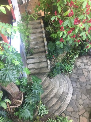 Jardin