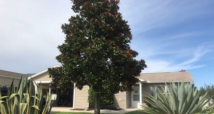 Der Herbst ist wunderschön in The Villages! Nizza 2 Schlafzimmer, 2 Badezimmer nach Hause mit Golfwagen!