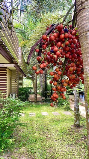Détail de l’intérieur