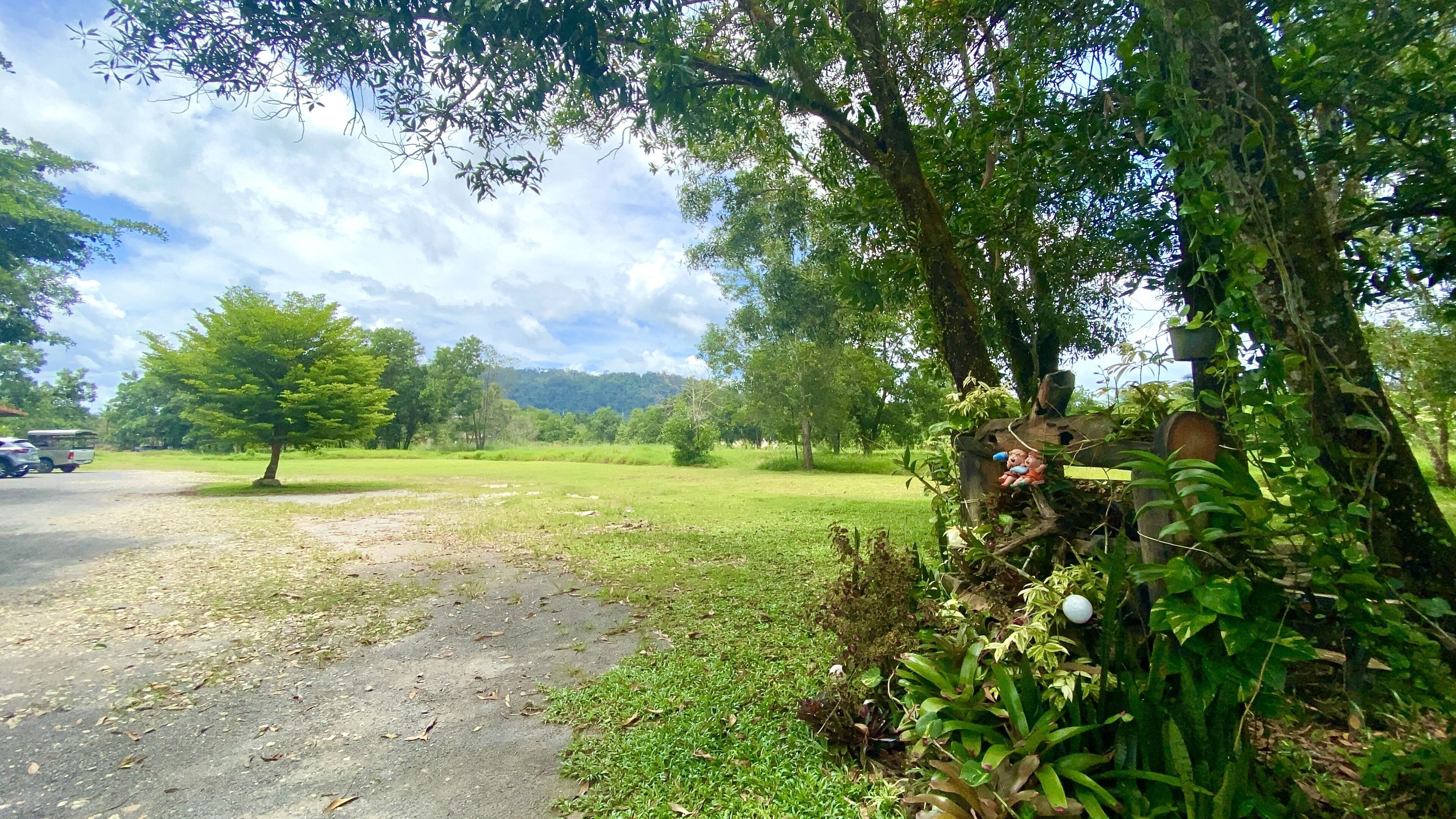 Paisatge rural amb un camí de terra, arbres i un prat.