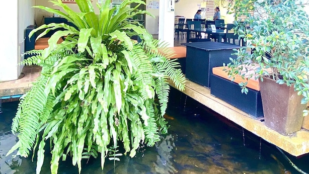 A spacious indoor area with a water feature, seating, and a ceiling with wooden beams. - Kuapa Resort (Takua Pa)