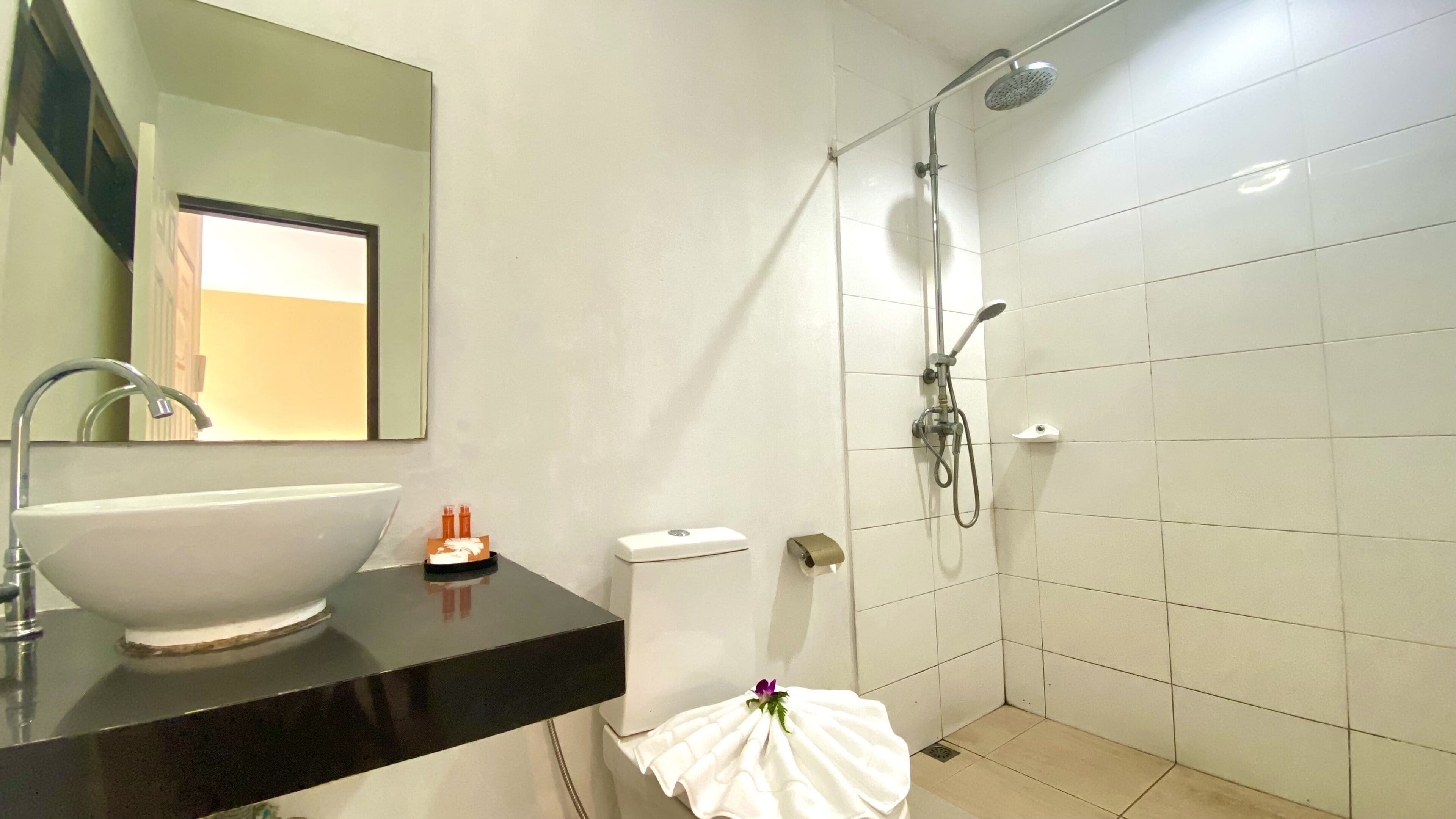 Deluxe Twin Room | Bathroom | Shower, free toiletries, bidet, towels