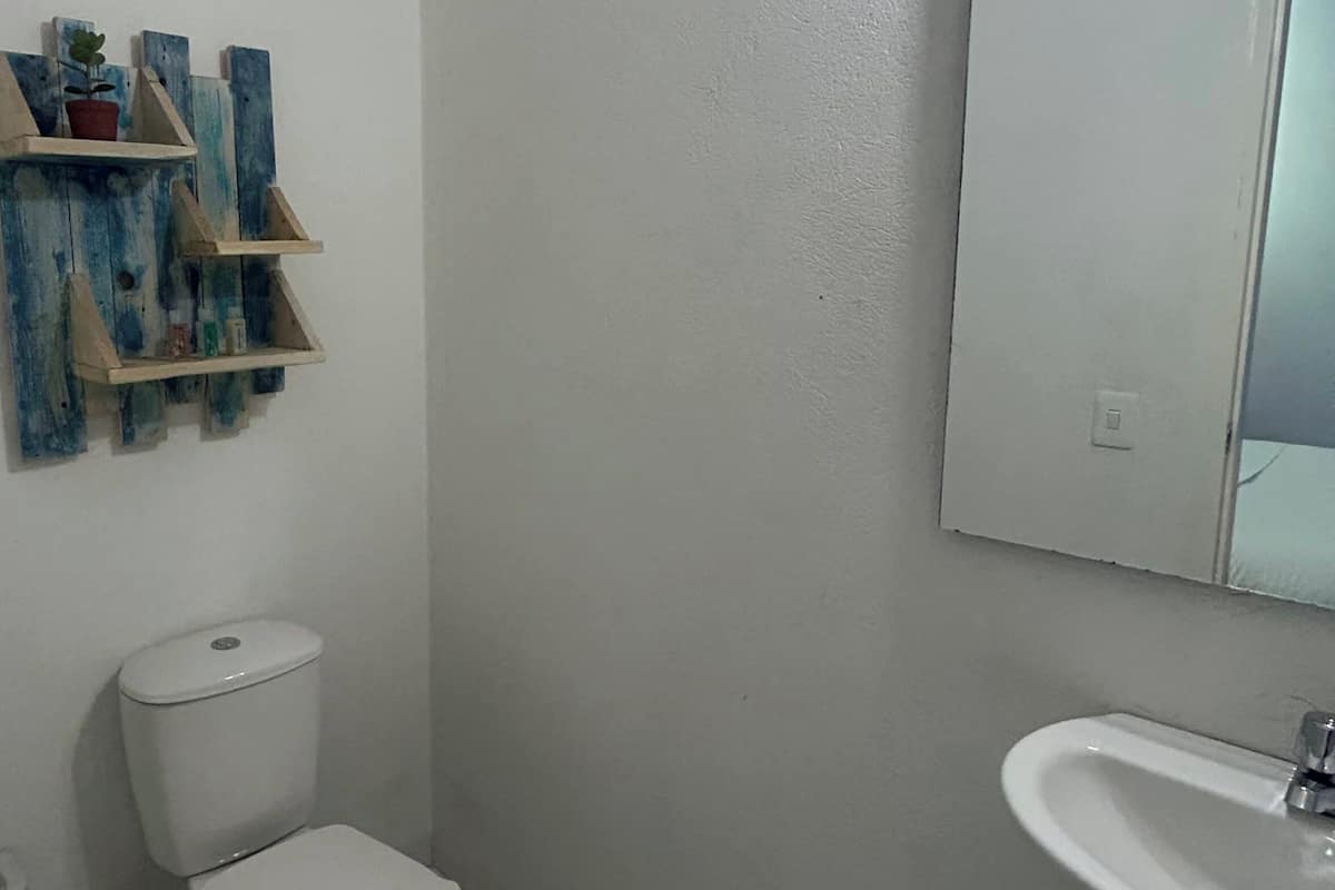 Un baño con inodoro, lavamanos y repisa en la pared con una planta en maceta.