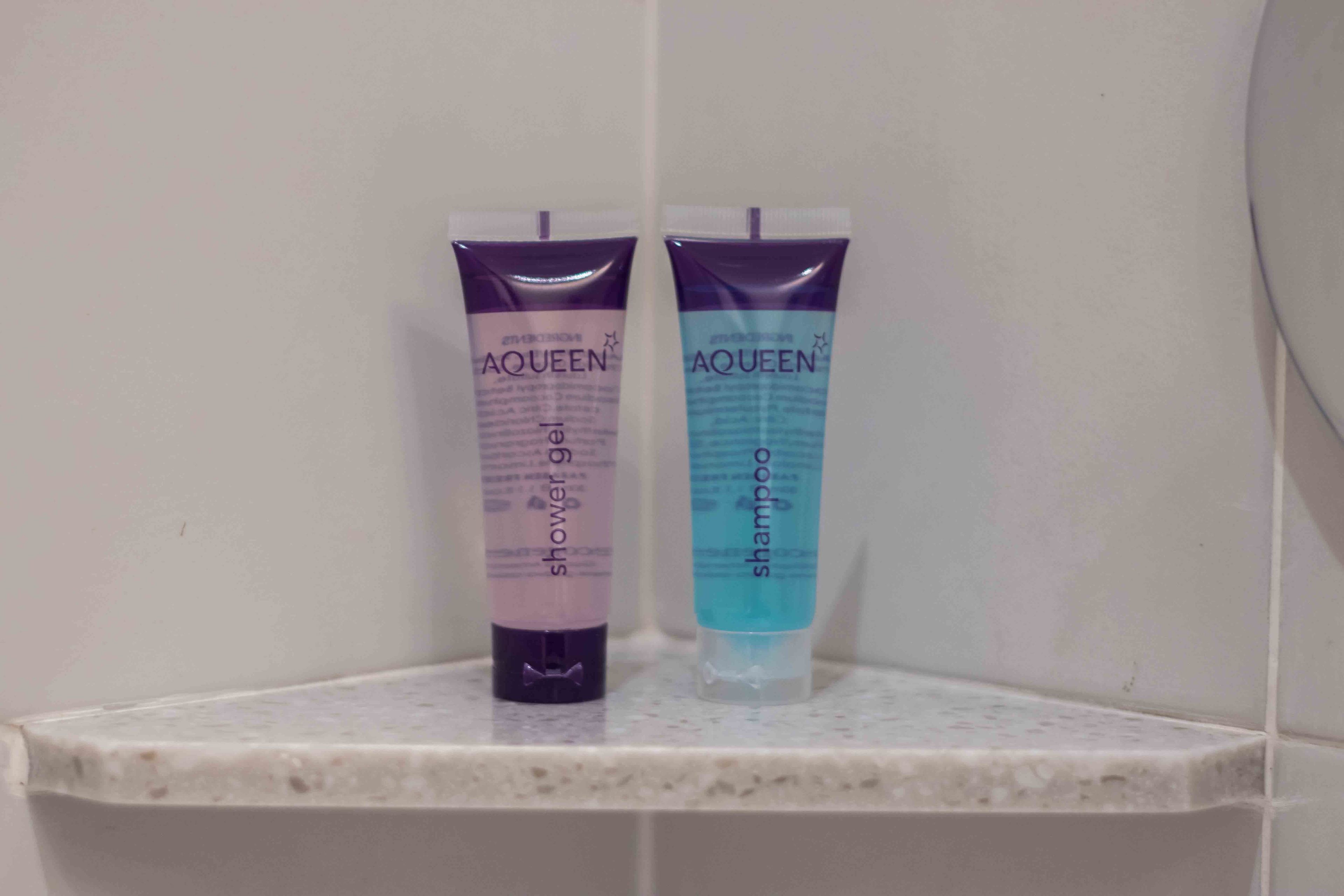 shower, free toiletries, hair dryer, slippers