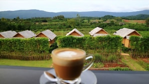 Café