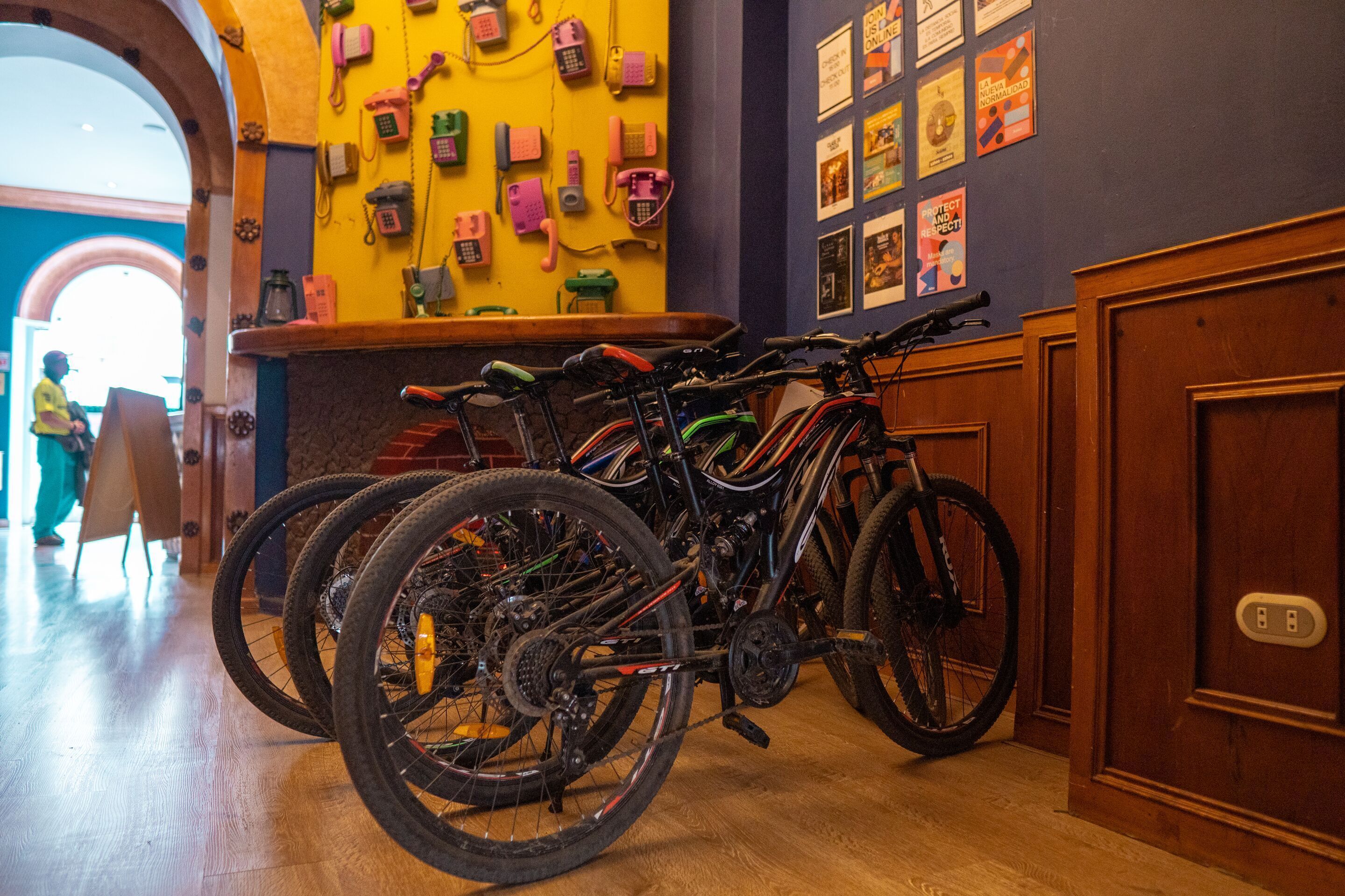 Selina Cuenca - Hostel