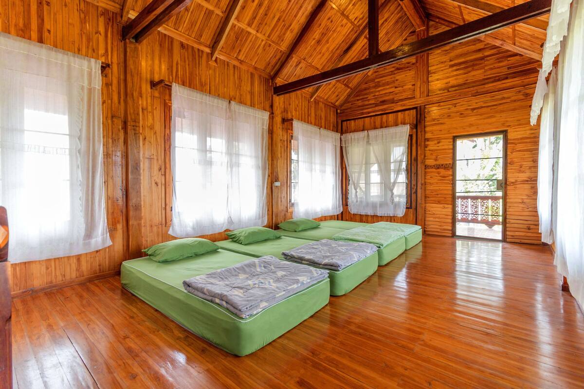 A wooden cabin with four green beds arranged in a row, wooden floors, and large windows with sheer curtains.
