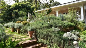 A garden with a stone pathway leading to a white building with a covered porch. - Rosemary House (Pak Chong)