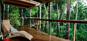 A wooden deck with a wicker lounge chair and a small table, surrounded by lush greenery and trees. - Sharlynn by the River (Malanda)