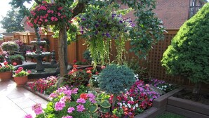 A garden with various flowering plants and a central tree. - A Sweet Suite in a Stunning Chalet-style Home -- YYZ (Toronto)