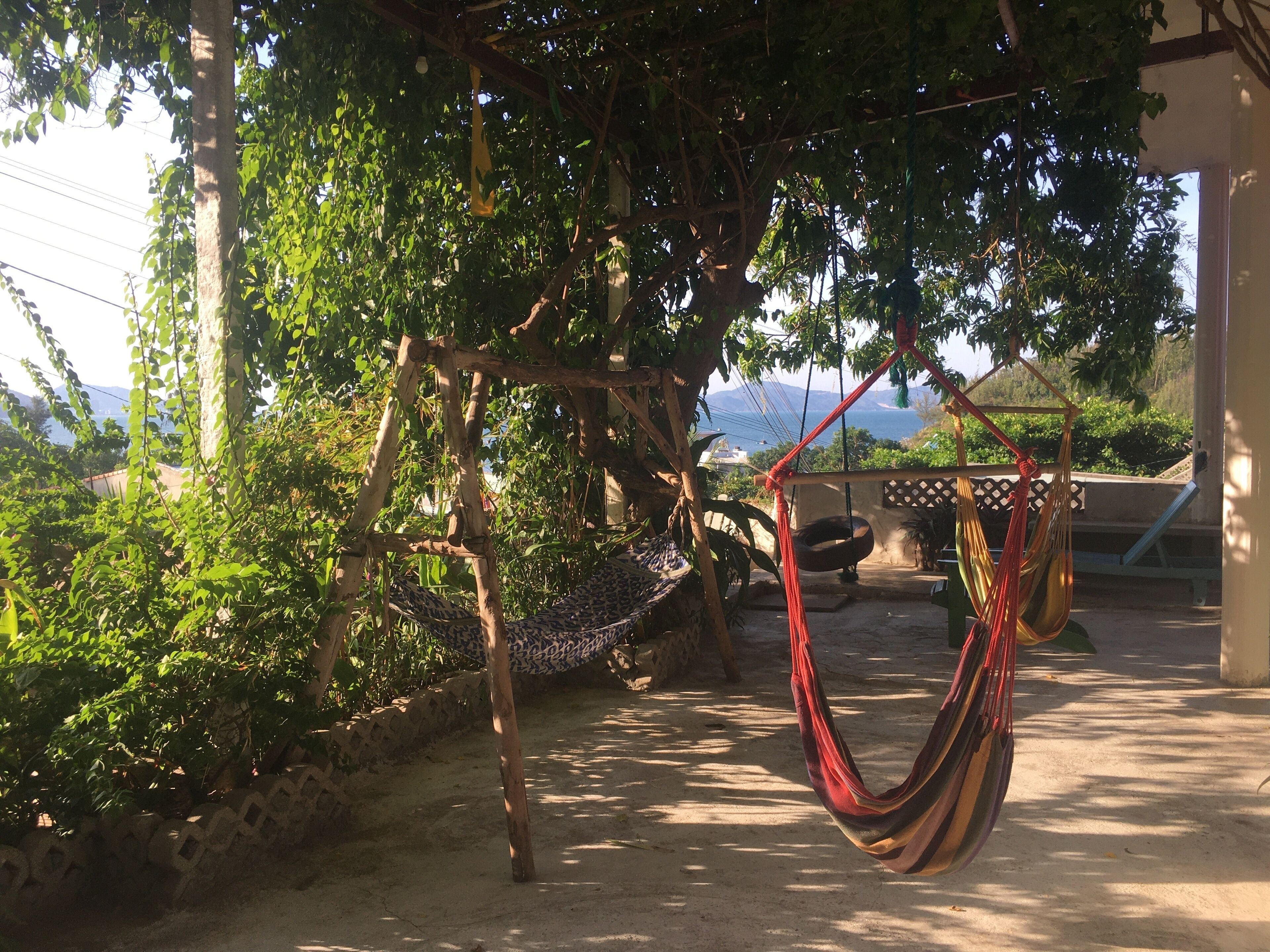 Una hamaca colgada entre árboles en un espacio al aire libre techado con vista al mar.