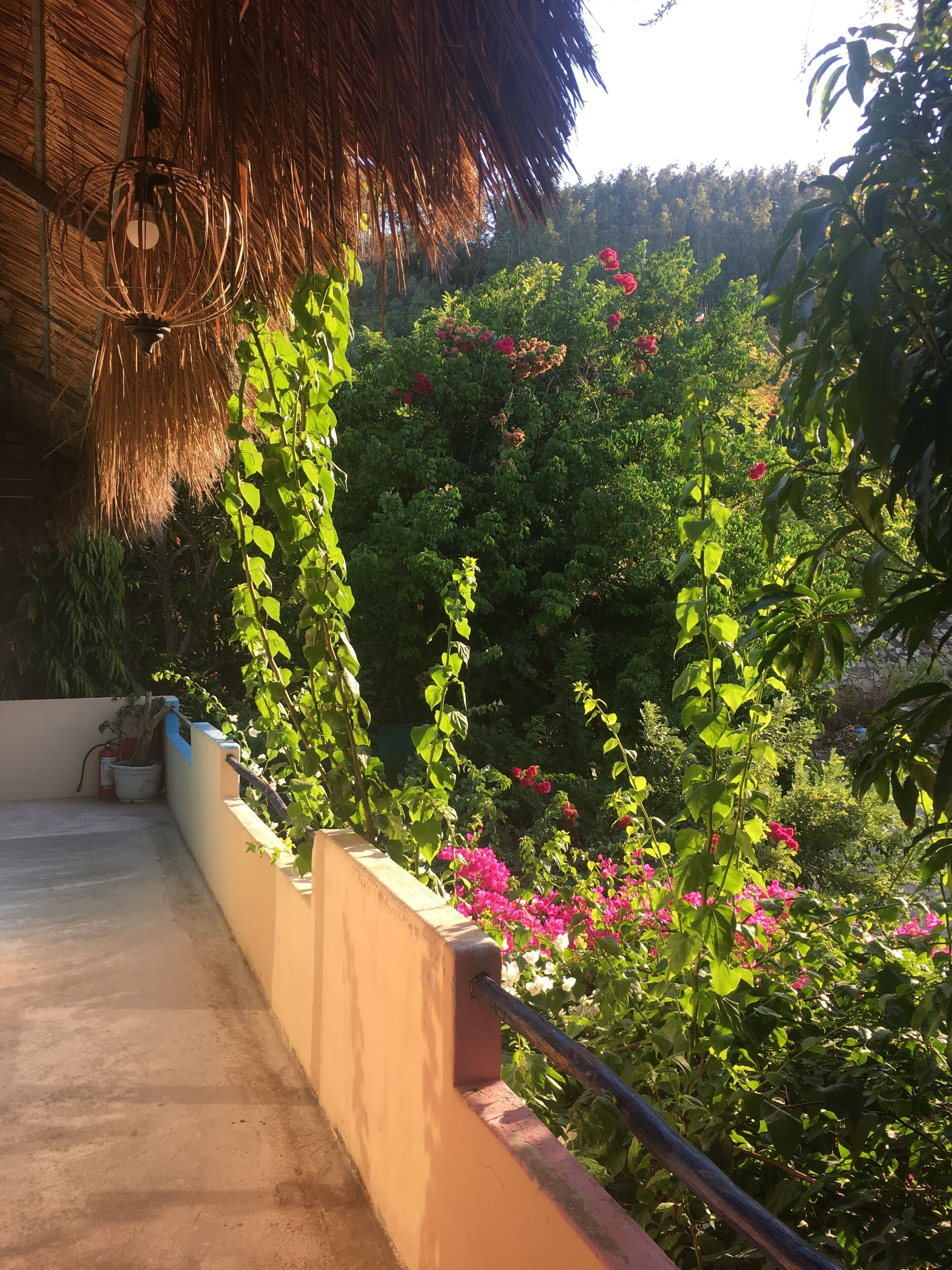 A balcony with a thatched roof, potted plants, and a view of lush greenery and pink flowers.