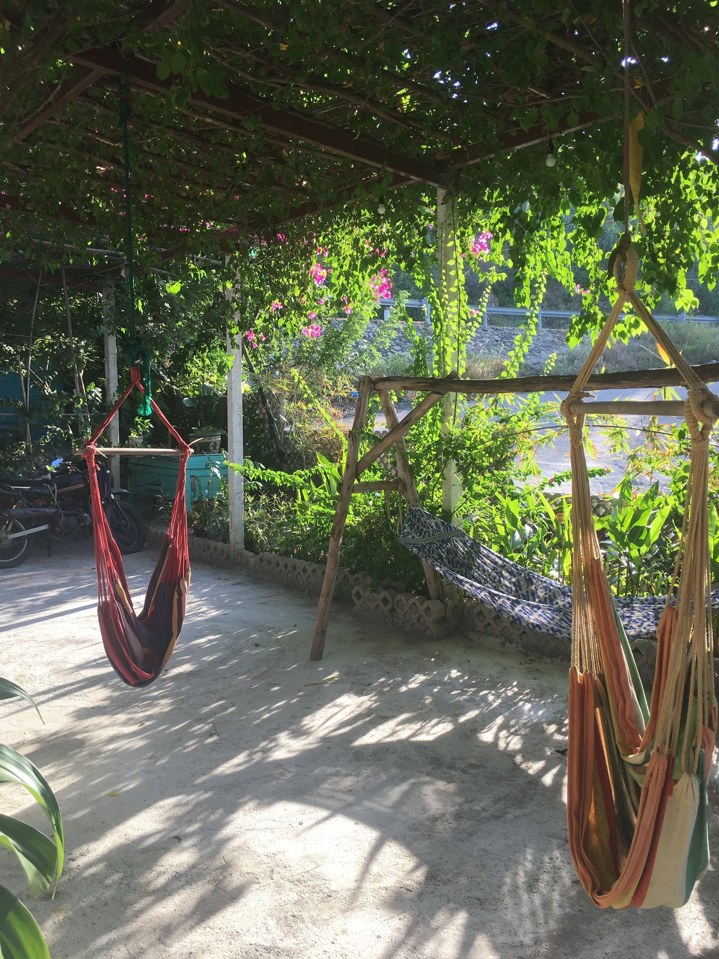 Eine Hängematte unter einer Pergola mit Garten im Hintergrund.