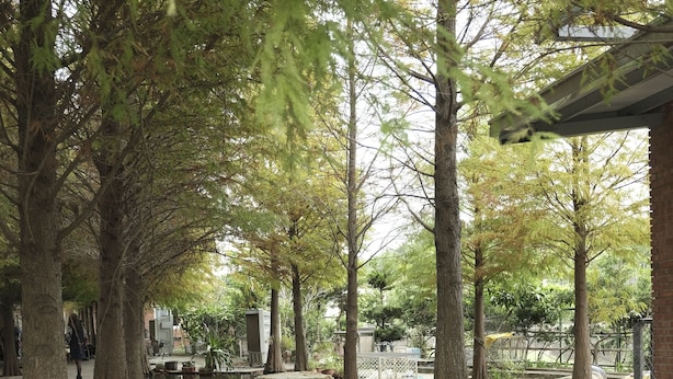 Un parque tranquilo con árboles, un estanque y un sendero de piedra.