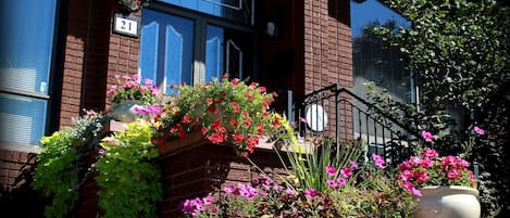 Détail de l’extérieur