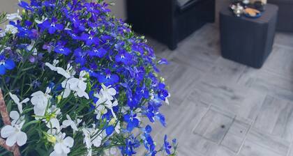 Casa Martina riippumaton majoitus Anzio Rooman keskustassa